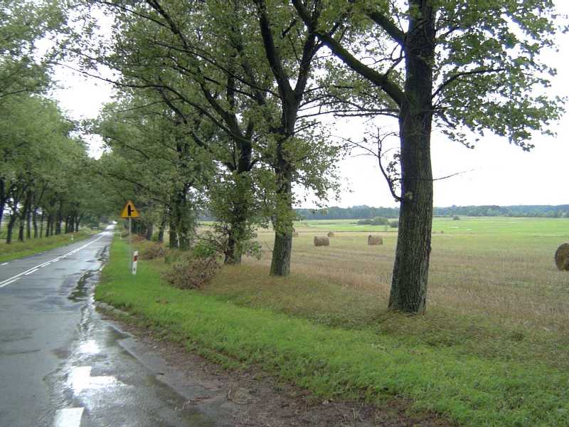 Polish countryside